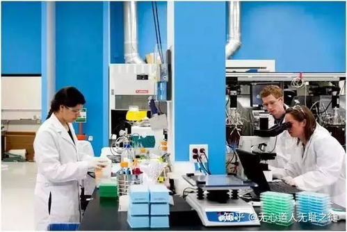人造大腦與上帝之手 合成生物學引領的第三次生物科技革命