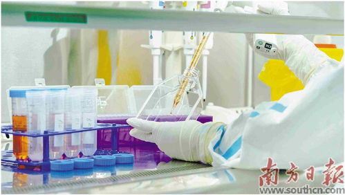 實驗痛點變生意 生物學家孵出廣州首個生物科技獨角獸