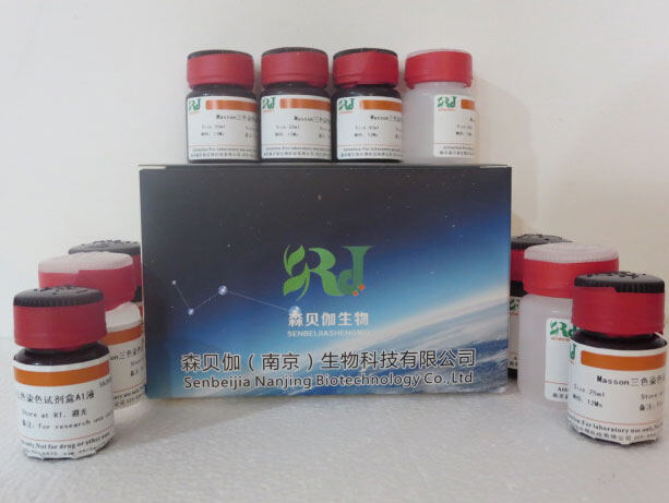 普魯士藍染色液(伊紅法)在生物科技中的應用與優勢